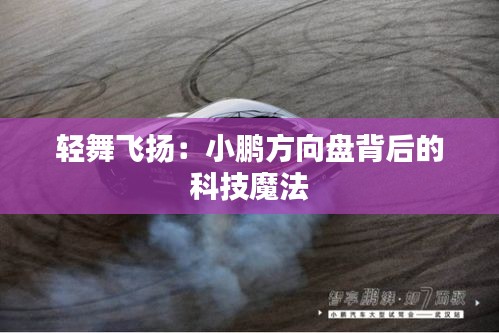 业务范围 第680页