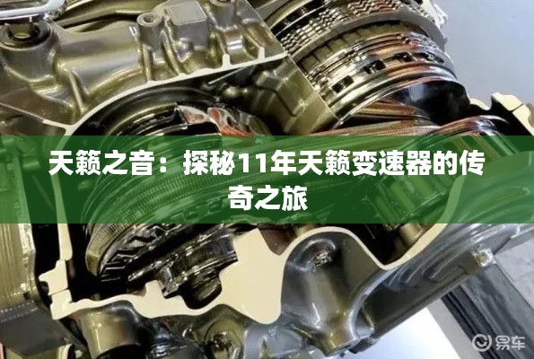 公路运输 第221页