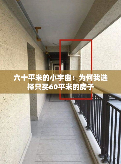 经典案例 第252页
