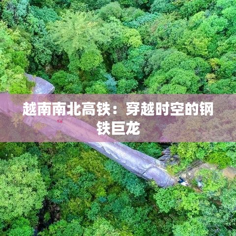 新闻中心 第296页