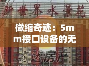 贵耳贱目 第4页