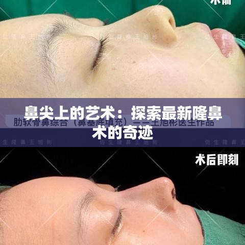 公路运输 第217页