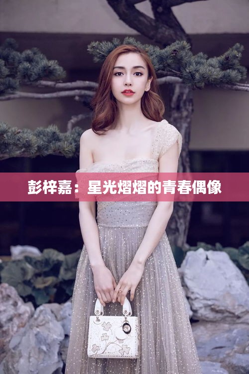 不畏权贵 第4页