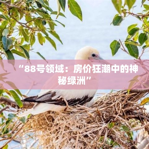 经典案例 第246页