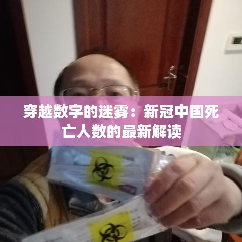 穿越数字的迷雾：新冠中国死亡人数的最新解读
