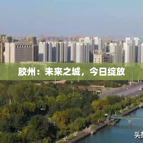 噩噩浑浑 第4页