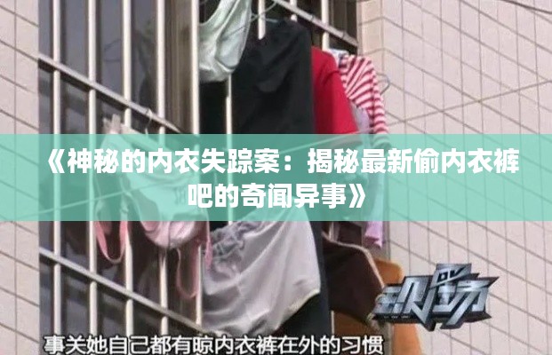 精品物流专线 第213页