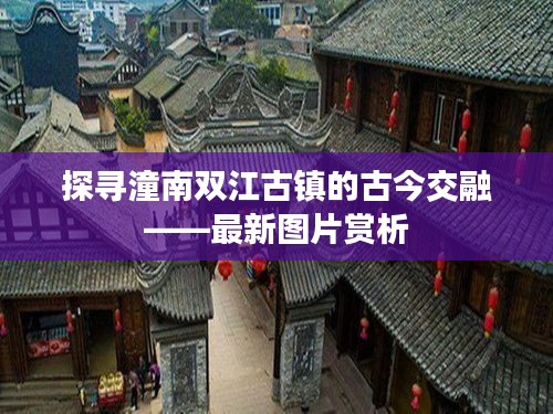 新闻中心 第282页