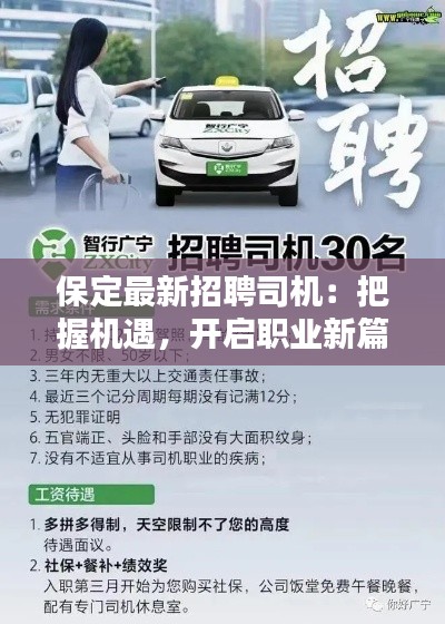 夫妻本是同林鸟 第3页
