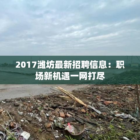 2017潍坊最新招聘信息：职场新机遇一网打尽