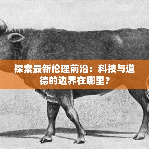 不知就里 第3页