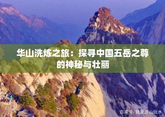 破马张飞 第3页