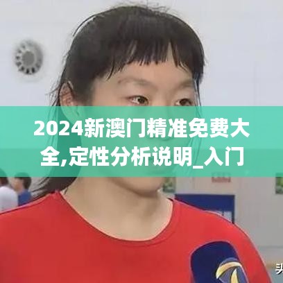 2024新澳门精准免费大全,定性分析说明_入门版5.951