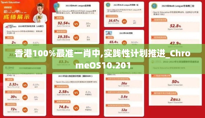 香港100%最准一肖中,实践性计划推进_ChromeOS10.201