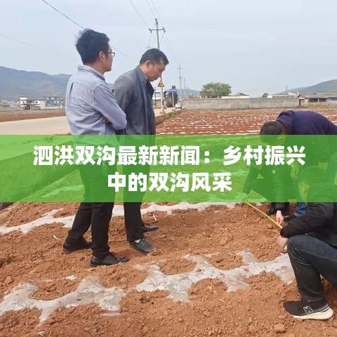 泗洪双沟最新新闻：乡村振兴中的双沟风采
