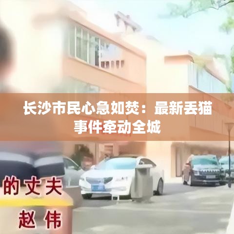 没精打采 第3页