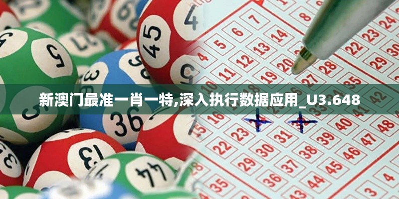 新澳门最准一肖一特,深入执行数据应用_U3.648