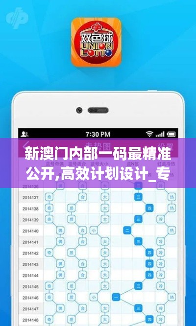 新澳门内部一码最精准公开,高效计划设计_专家版1.599