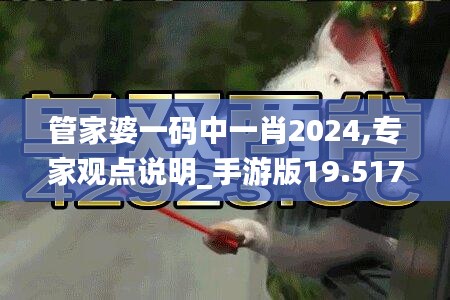 管家婆一码中一肖2024,专家观点说明_手游版19.517