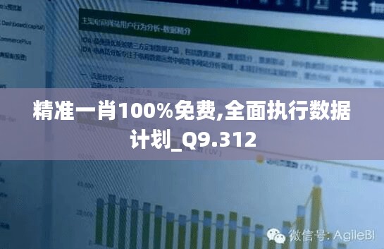 精准一肖100%免费,全面执行数据计划_Q9.312