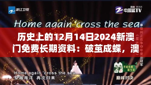 小心翼翼 第3页