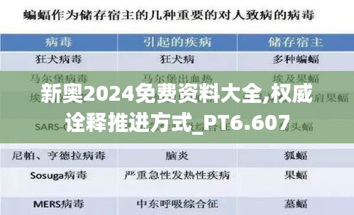 新奥2024免费资料大全,权威诠释推进方式_PT6.607