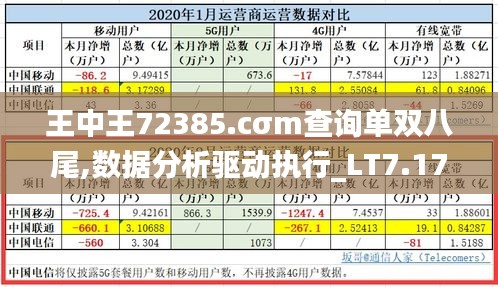 王中王72385.cσm查询单双八尾,数据分析驱动执行_LT7.179