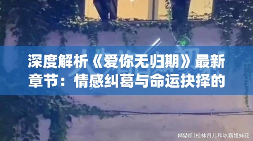 深度解析《爱你无归期》最新章节：情感纠葛与命运抉择的交织