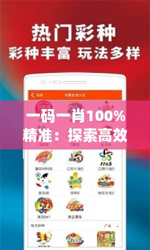 一码一肖100%精准：探索高效信息匹配的奇妙之旅