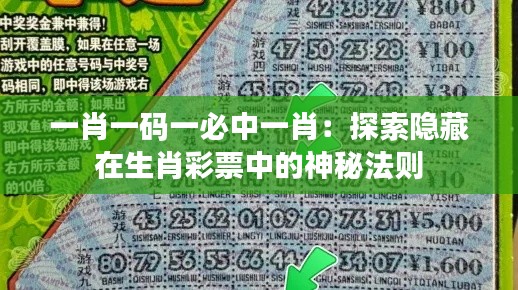 一肖一码一必中一肖：探索隐藏在生肖彩票中的神秘法则