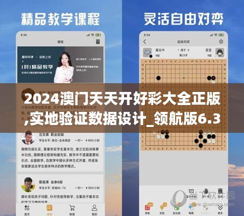 2024澳门天天开好彩大全正版,实地验证数据设计_领航版6.320