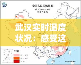生张熟魏 第2页