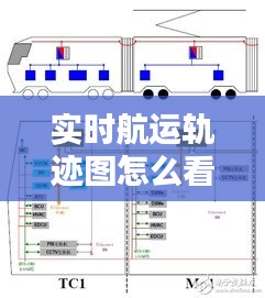 实时航运轨迹图怎么看