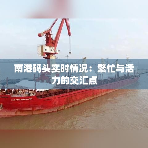 张灯挂彩 第2页