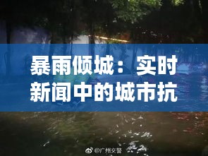 暴雨倾城：实时新闻中的城市抗洪纪实
