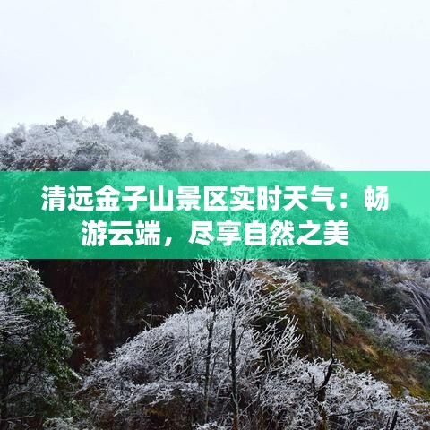 东成西就 第2页