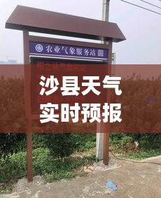 穷鸟入怀 第2页