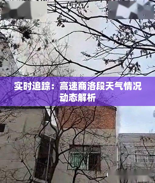 步履如飞 第2页