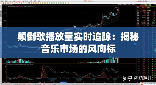 自作主张 第2页