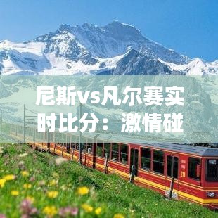 尼斯vs凡尔赛实时比分：激情碰撞，谁将笑到最后？