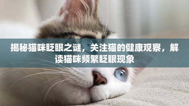 计日程功 第2页