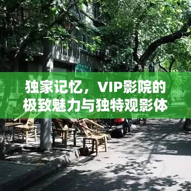 独家记忆，VIP影院的极致魅力与独特观影体验
