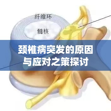 集思广益 第2页