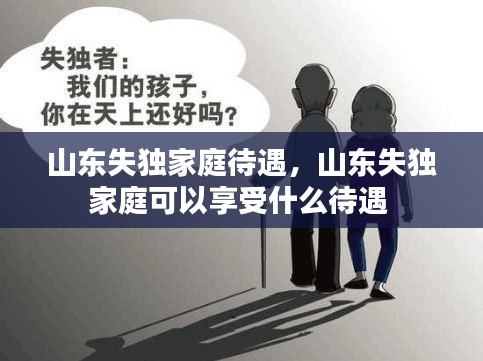 山东失独家庭待遇，山东失独家庭可以享受什么待遇 