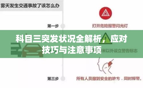 科目三突发状况全解析，应对技巧与注意事项