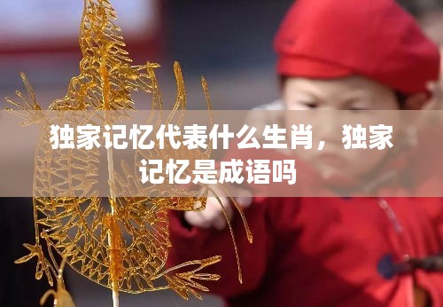 独家记忆代表什么生肖，独家记忆是成语吗 