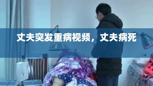 百鸟齐鸣 第2页