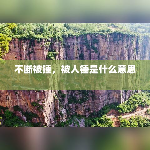 芳兰竟体 第2页