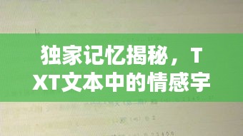 独家记忆揭秘，TXT文本中的情感宇宙探索