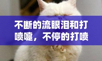 不断的流眼泪和打喷嚏，不停的打喷嚏流鼻涕流眼泪什么原因引起 